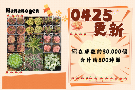 新着-0425更新