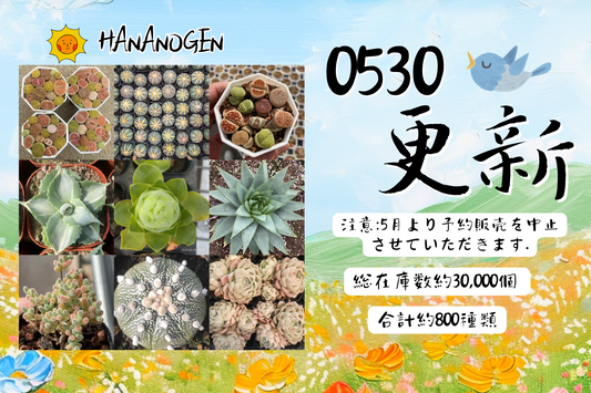 新着-0530更新
