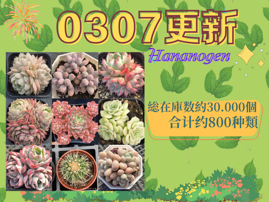新着-0307更新