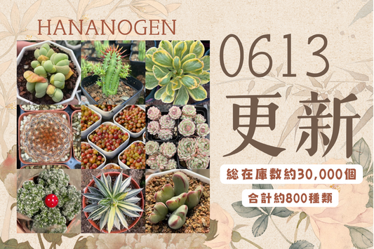 新着-0613更新