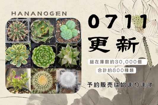 新着-0711更新