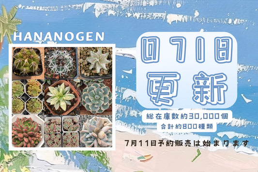 新着-0718更新