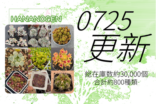 新着-0725更新