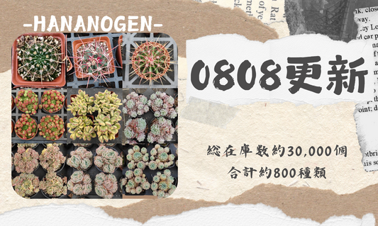 新着-0807更新