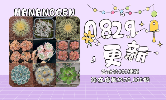 新着-0829更新