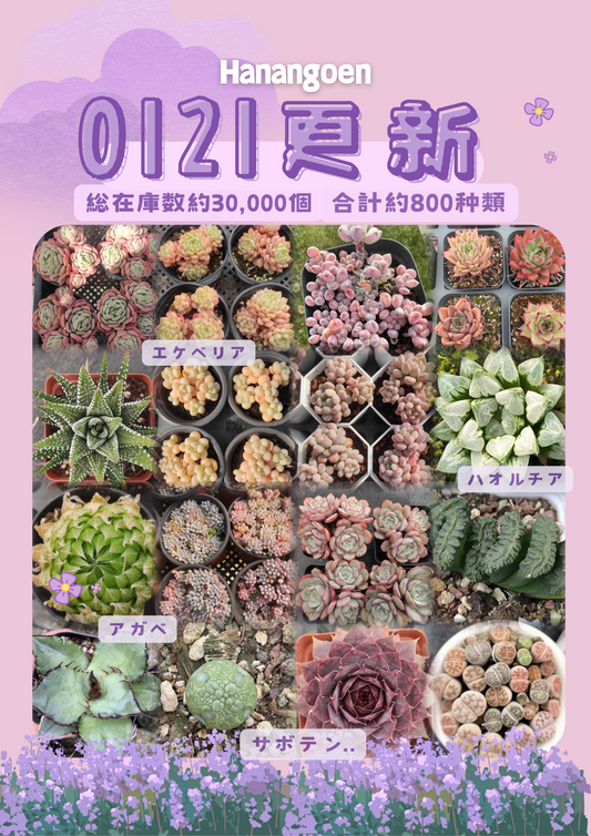 新着-0121更新