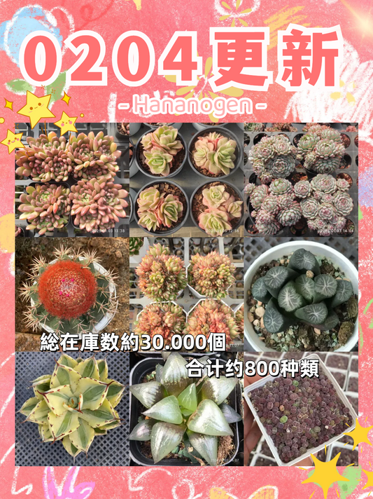 新着-0204更新