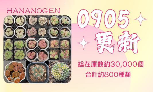 新着-0905更新