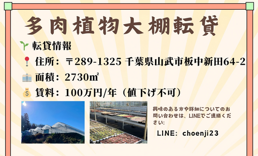 多肉植物大棚転貸