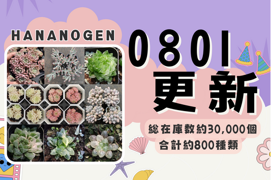 新着-0801更新