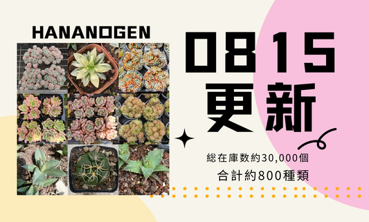新着-0815更新