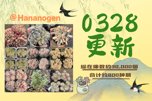 新着-0328更新