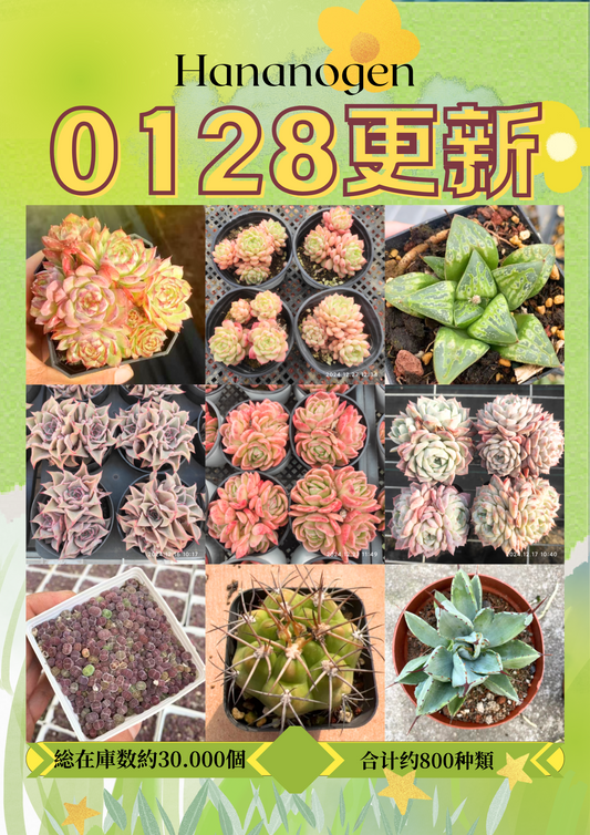 新着-0128更新