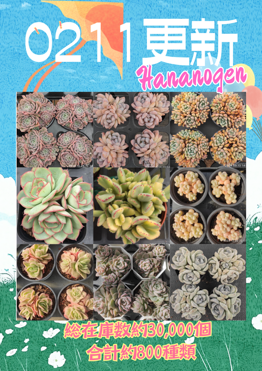 新着-0211更新
