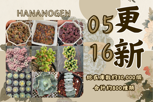 新着-0516更新