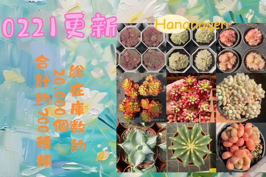 新着-0221更新