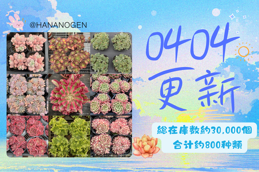 新着-0404更新