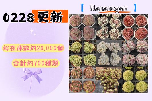 新着-0228更新