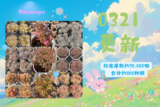新着-0321更新